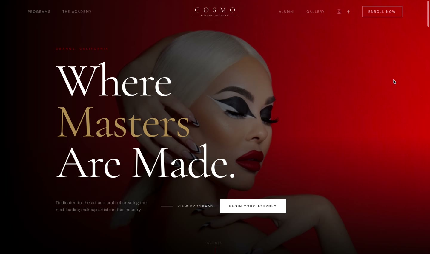 Cosmo Makeup Academy website preview